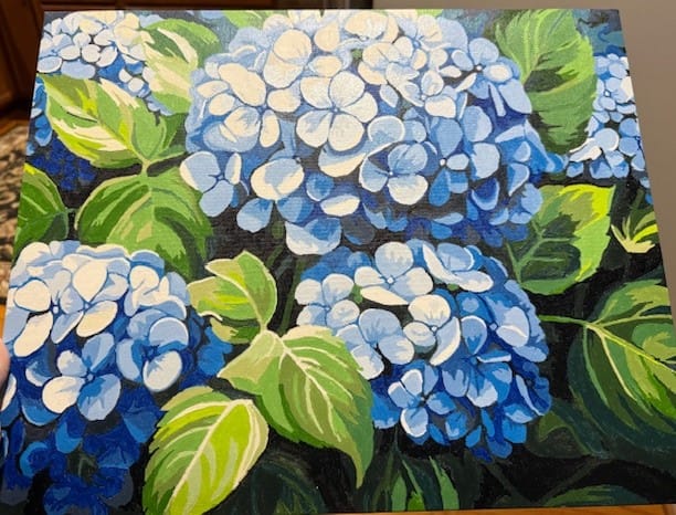Customer photo review of Clustered Hydrangeas