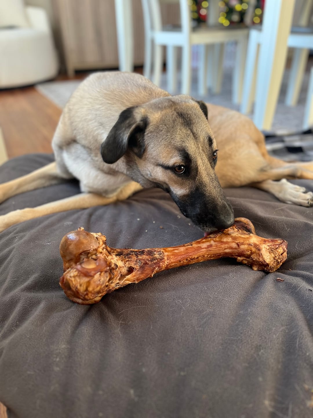 Customer photo review of Monster Femur Bone