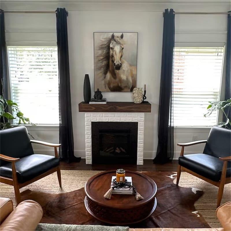 Customer photo review of Abstract Animal Horse Wall Art #AC050