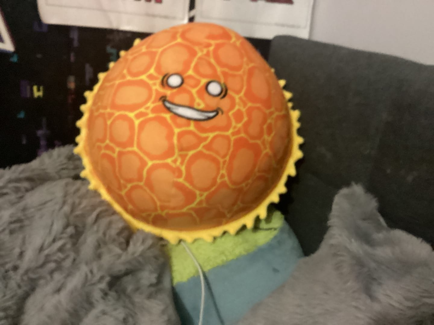 Customer photo review of The SolarBalls Sun Plush