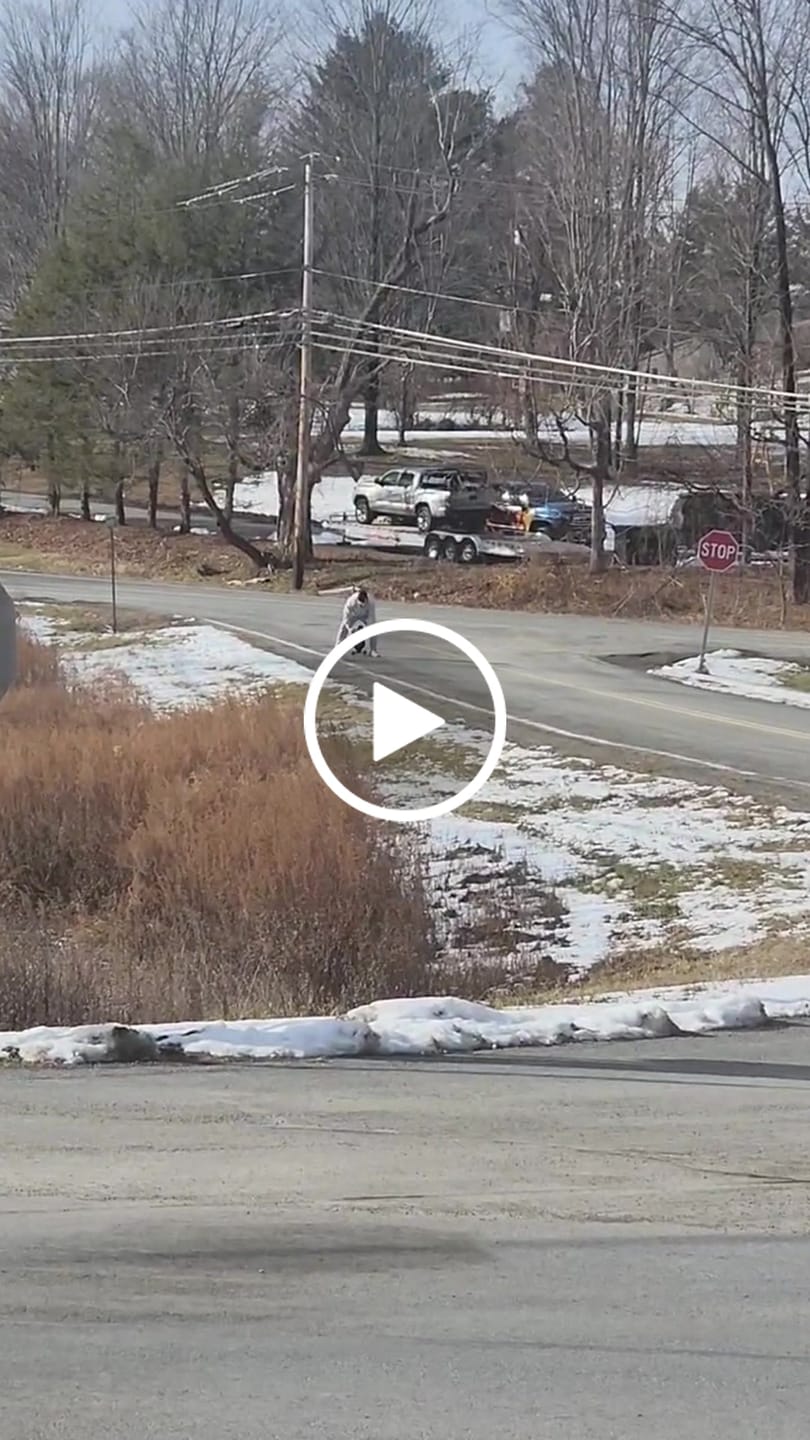 Customer video review of Backfire G2 Black & G2Z Electric Skateboard with R5s Remote