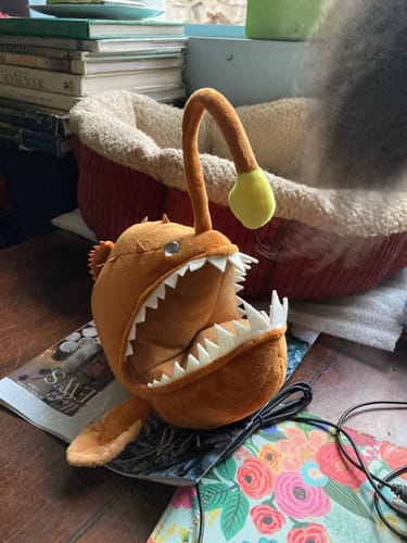 Customer photo review of Anglerfish Soft Stuffed Plush Toy