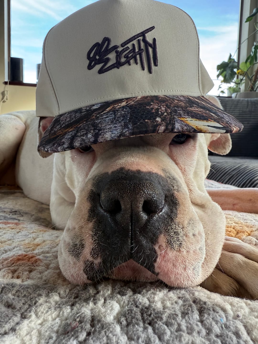 Customer photo review of 80Eighty® WhiteWood Hat