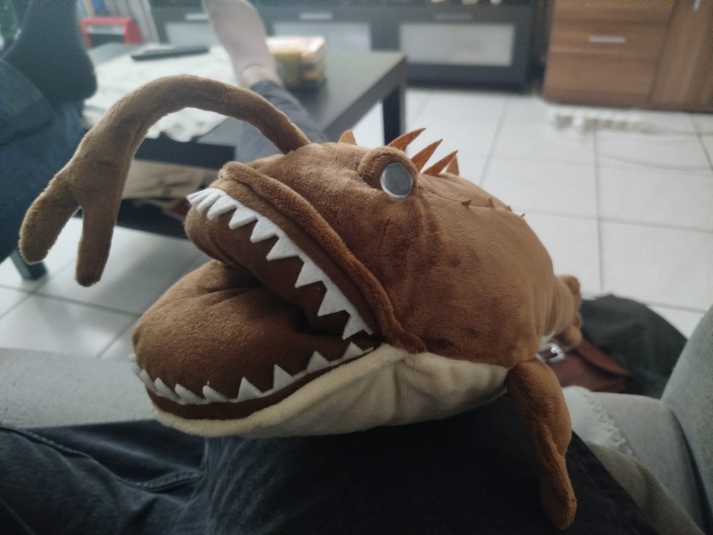 Customer photo review of American Anglerfish Soft Stuffed Plush Toy