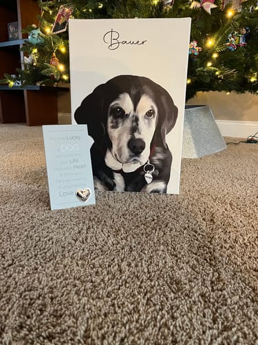 Customer photo review of Pet Art Canvas Wrap