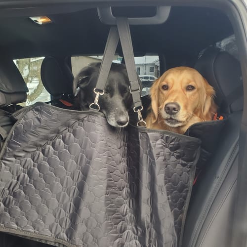 Customer photo review of Hard Bottom Seat Cover