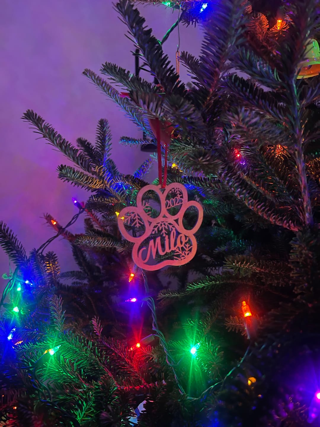 Customer photo review of Personalized Pet Christmas Ornament