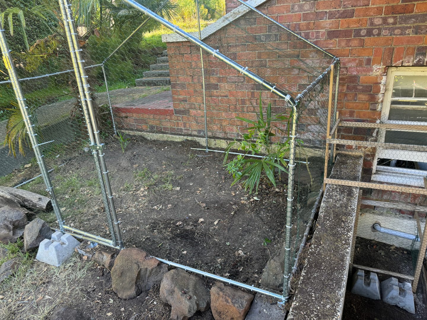 Customer photo review of Pets Gear Metal Cat Cage Outdoor Enclosure
