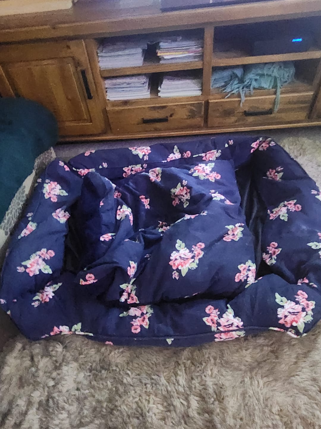 Customer photo review of Dog Calming Bed Removable Cover Cushion Mat