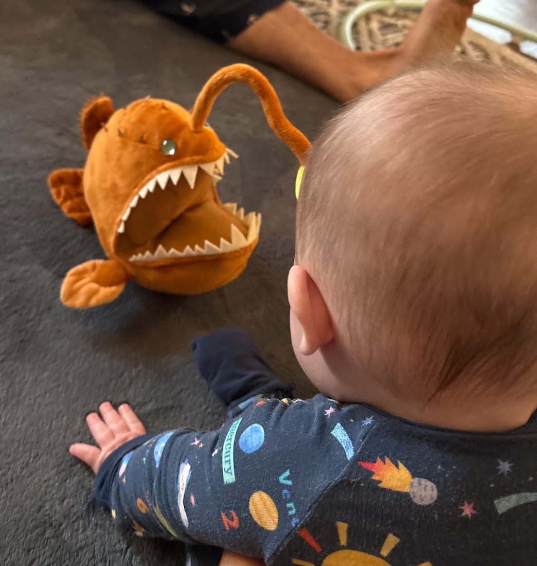 Customer photo review of Anglerfish Soft Stuffed Plush Toy