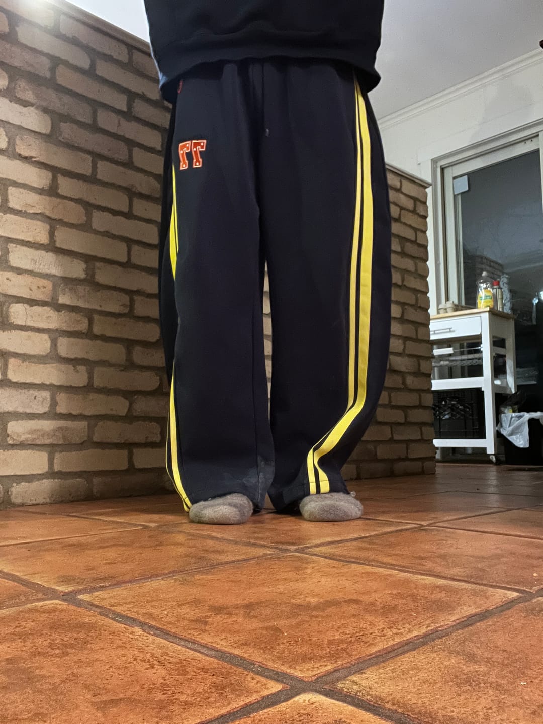 Customer photo review of Aelfric Eden Stripe Baggy Barrel Sweatpants