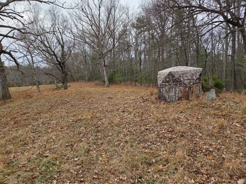 Customer photo review of VisX/VisMax See Through Hunting Blind, Pop Up Ground Deer Blind