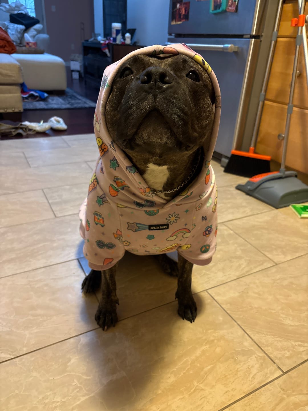 Customer photo review of Dog Hoodie Prints