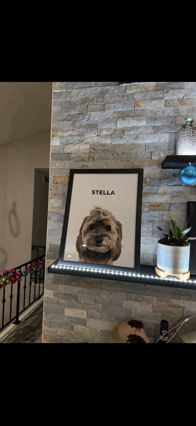 Customer photo review of Custom Pet Portrait (Framed)