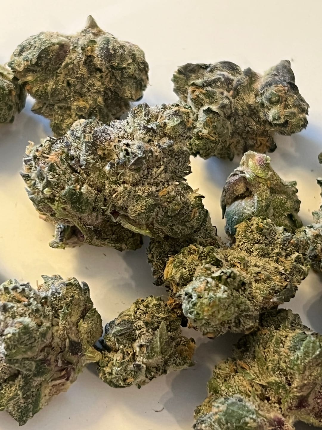 Customer photo review of Runtz THCA Flower