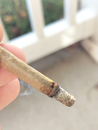 Customer photo review of Grape Head – Budget THCA (Full Size)