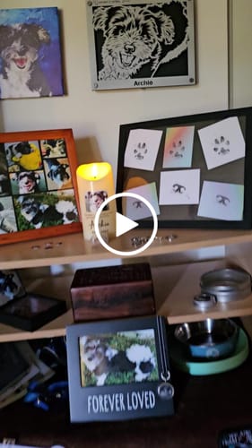 Customer video review of Custom Pet Metal Portrait