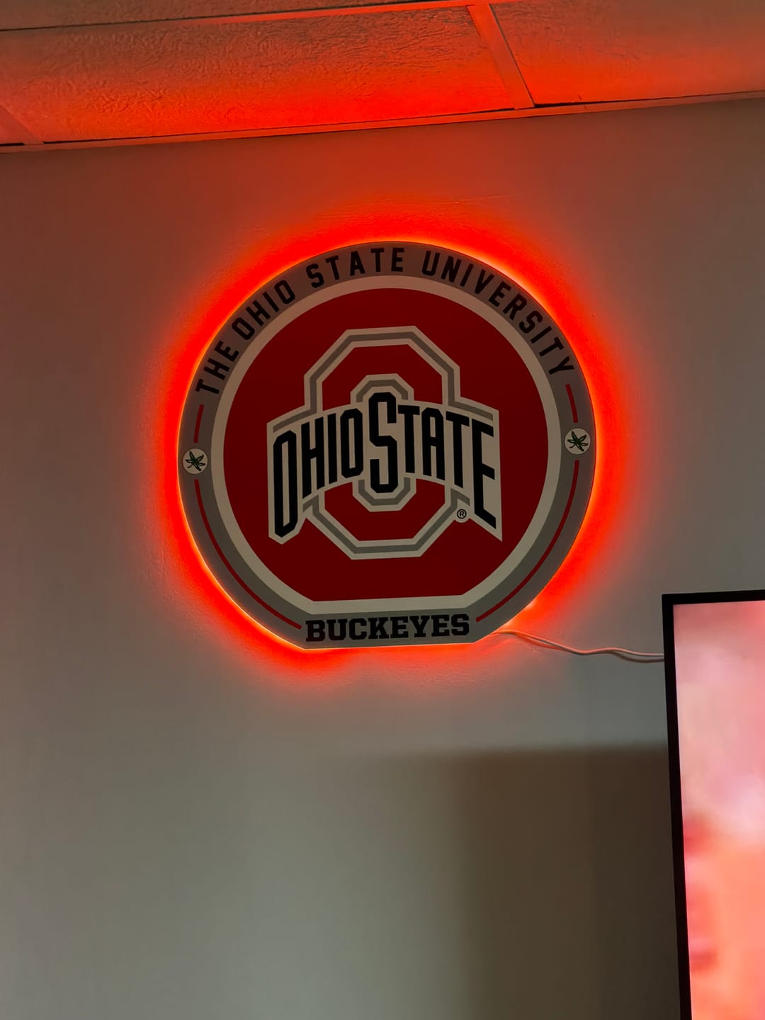 Customer photo review of VARSITY Collection -Ohio State Buckeyes SINGLE Layer Wall Art