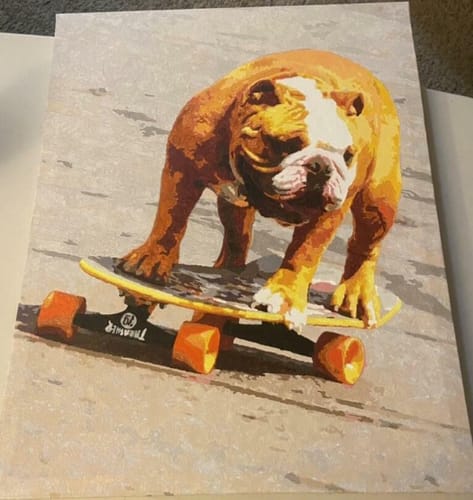 Customer photo review of Custom Pet Paint By Numbers