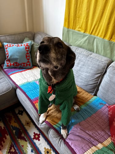 Customer photo review of Monkey Fleece Jacket