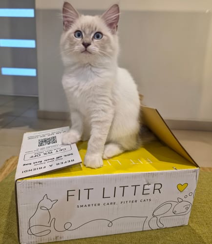 Customer photo review of 1 Month Supply – 1 Cat