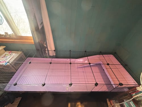 Customer photo review of 6x2 C&C Cage with Loft & Stand