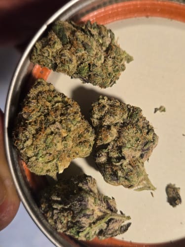 Customer photo review of Cheap Indoor THCA Flower