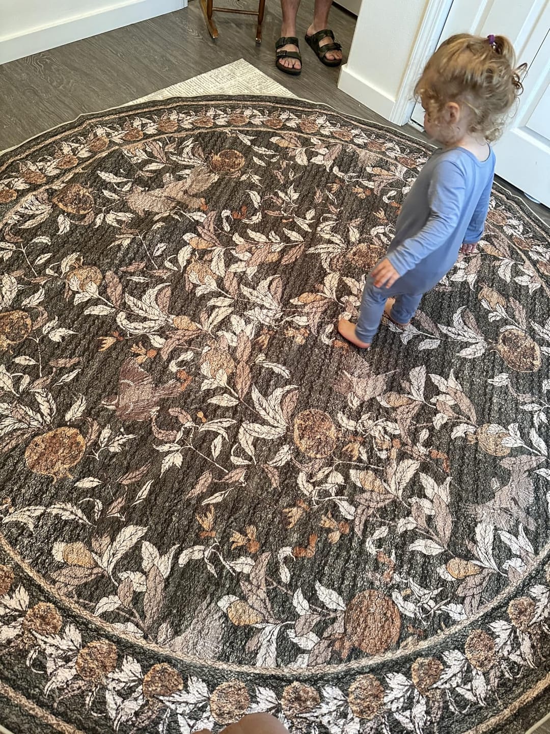 Customer photo review of Vintage Pomegranate Foliage Rug