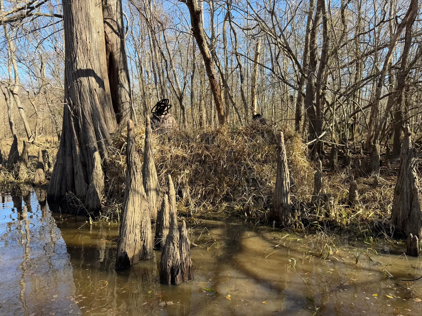 Customer photo review of Modular Panel Hunting Blind | A-Frame Pop Up Duck & Goose Blinds | Portable 3-4 Person Waterfowl Ground Blind Camo