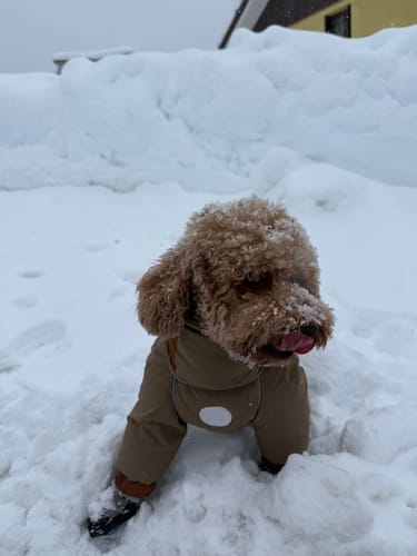 Customer photo review of ArcticDown Thermal Jumpsuit