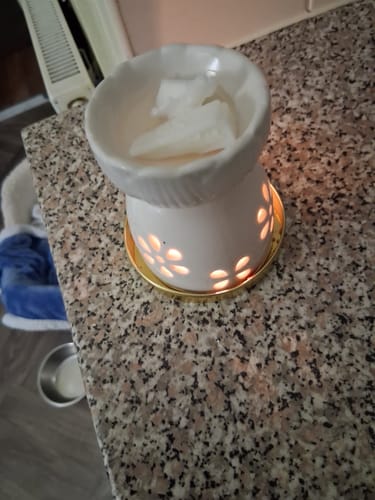 Customer photo review of Winter Berries Wax Melt
