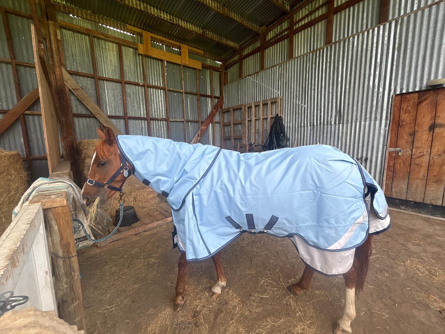 Customer photo review of LE Boxter Turnout 0g