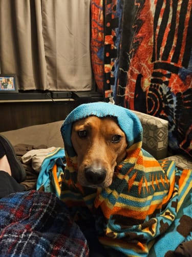 Customer photo review of Bestie Balance