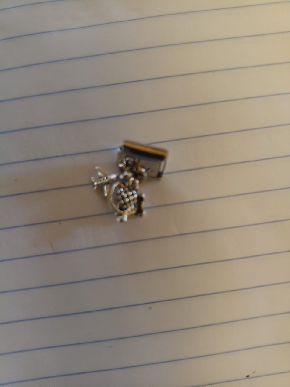 Customer photo review of Charm Colgante viaje avion