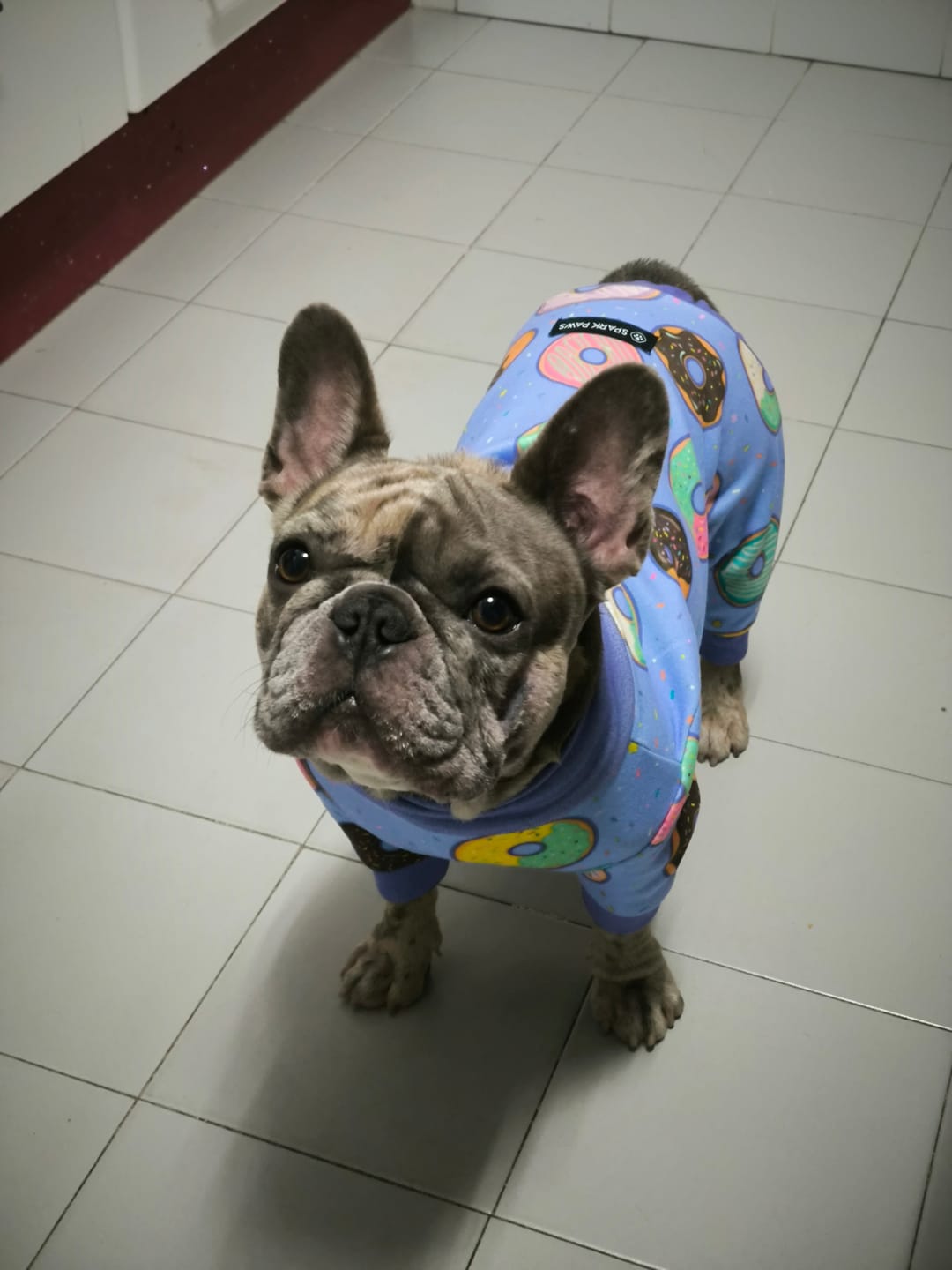 Customer photo review of Dog Pajama - Donuts