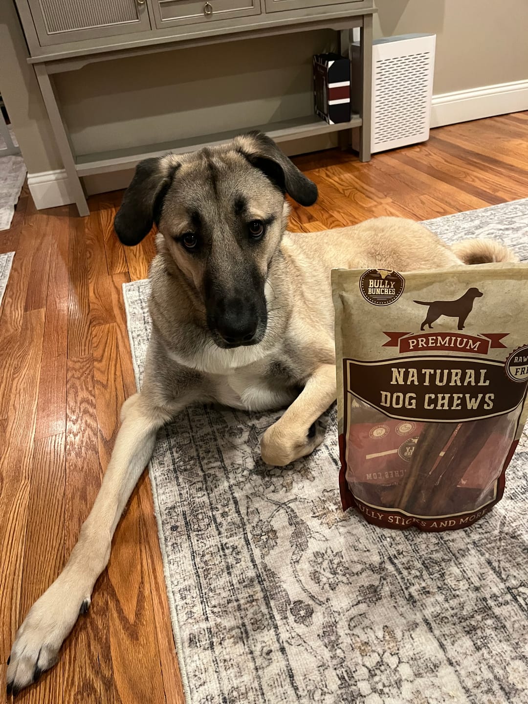 Customer photo review of 12 Inch Jumbo Bully Stick