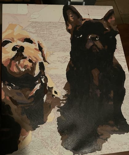 Customer photo review of Custom Pet Paint By Numbers