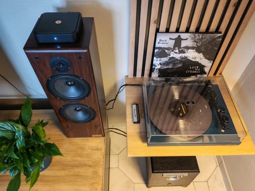 Customer photo review of SOLO