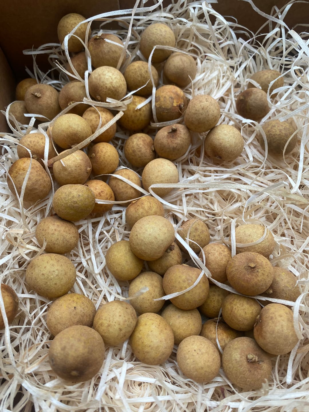 Customer photo review of Longan naturbelassen