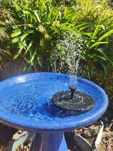 Customer photo review of AhiSpring™ | Solar Garden Fountain