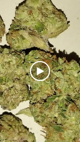 Customer video review of Georgia Pie THCA Flower