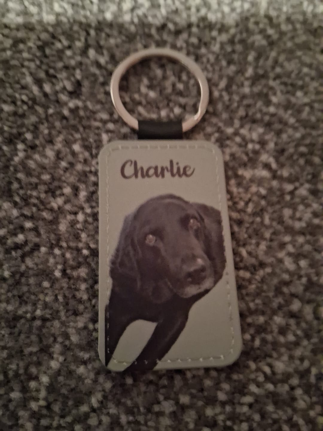 Customer photo review of Pet portrait - Personalised Keychain