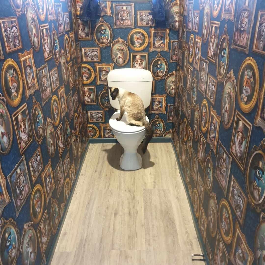 Customer photo review of Regal Beasts - Whimsical Animal Wallpaper - Charcoal