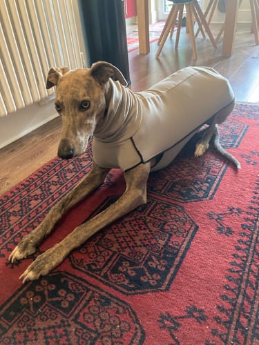Customer photo review of Fleece Sighthound Base-Layer Coat with Underbelly and Snood