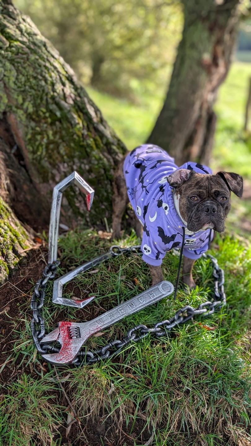 Customer photo review of Halloween Human Hoodie - Purple