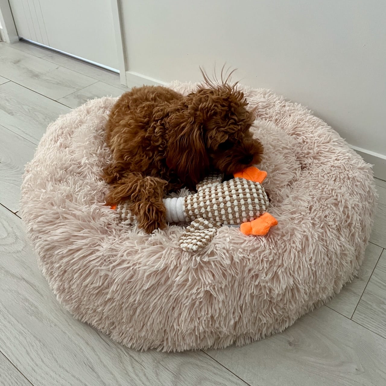 Customer photo review of Brooklyn® Deep Sleep Pet Bed