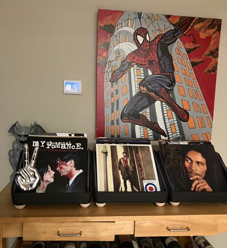 Customer photo review of Record Roots Tabletop Storage System
