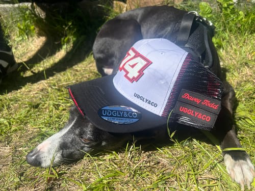 Customer photo review of Davey Todd Cap
