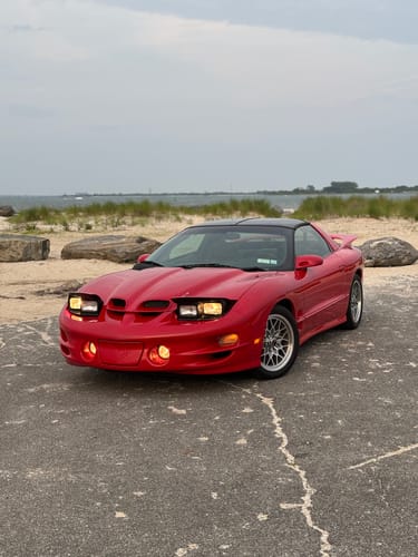 Customer photo review of Mail Order Tune