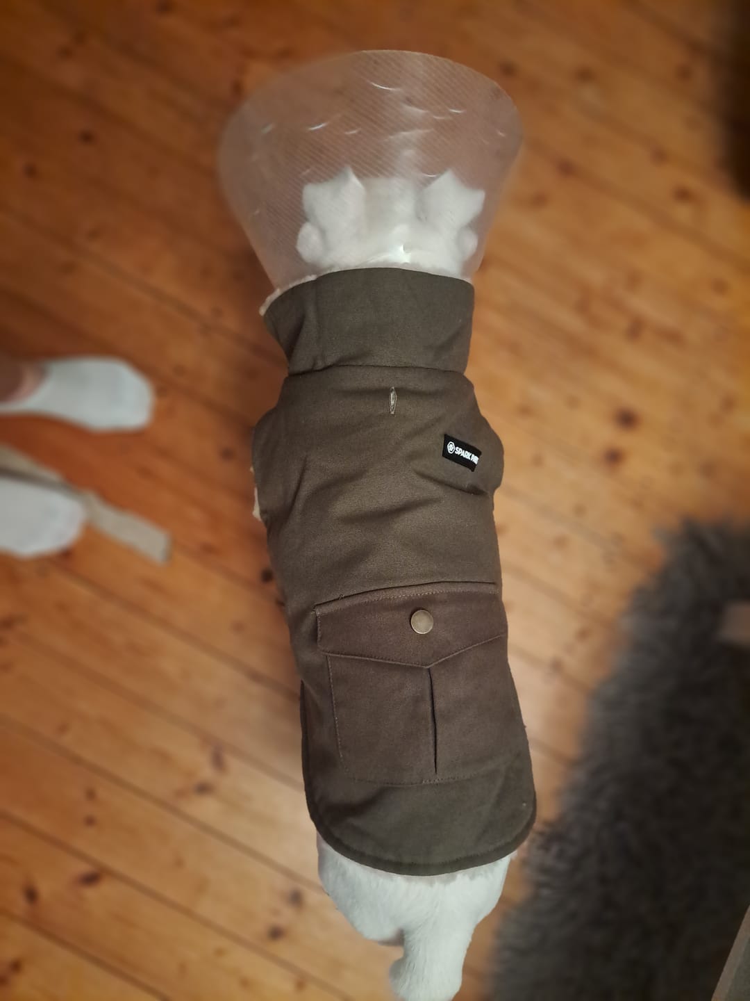 Customer photo review of Workdog Insulated Utility Jacket Jackets